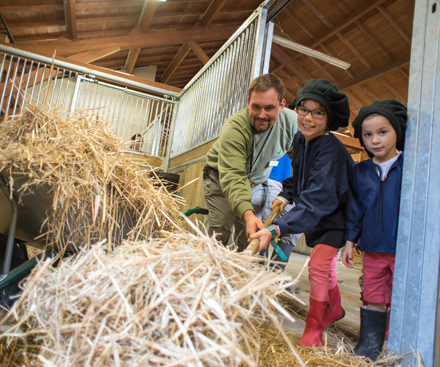 The Children's Farm