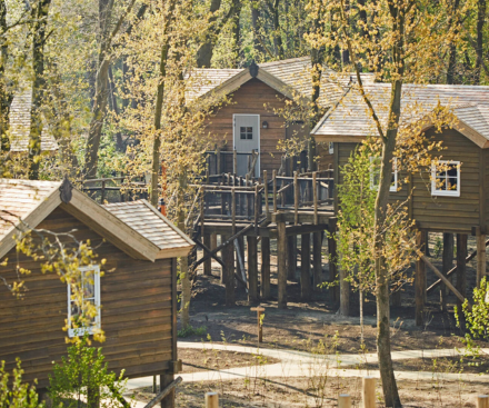 Treetops Comfort Room (sleeps 4)